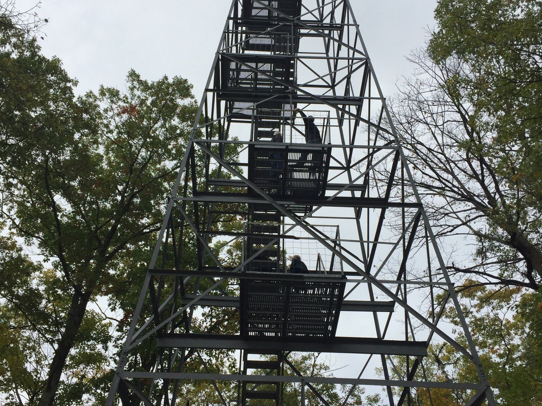 Aiton Heights Fire Tower-Lake Itasca必去景点