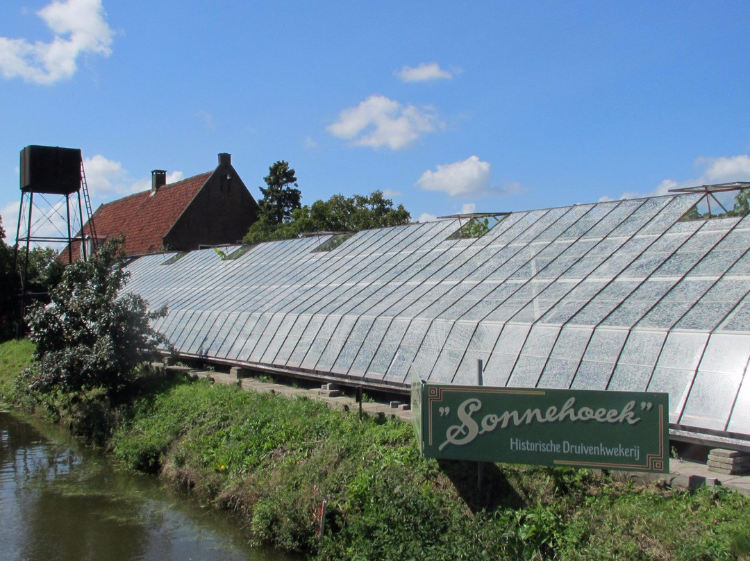 Kwintsheul旅游攻略图片