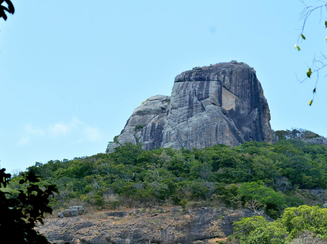 Kaludiya Pokuna景点图片