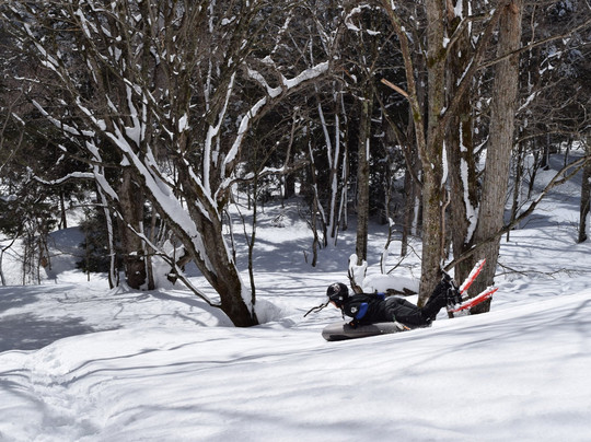 NAOC-日光市必去景点