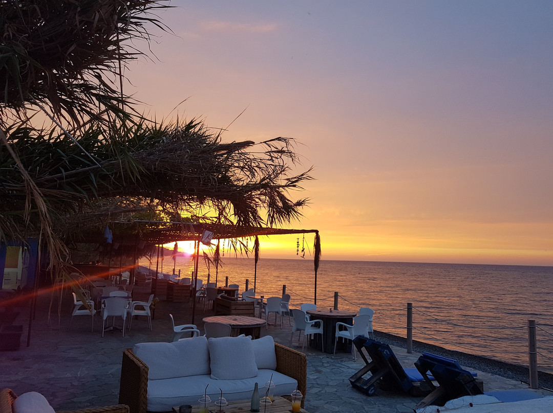 尼科西亚区餐馆和美食-Grape By The Sea