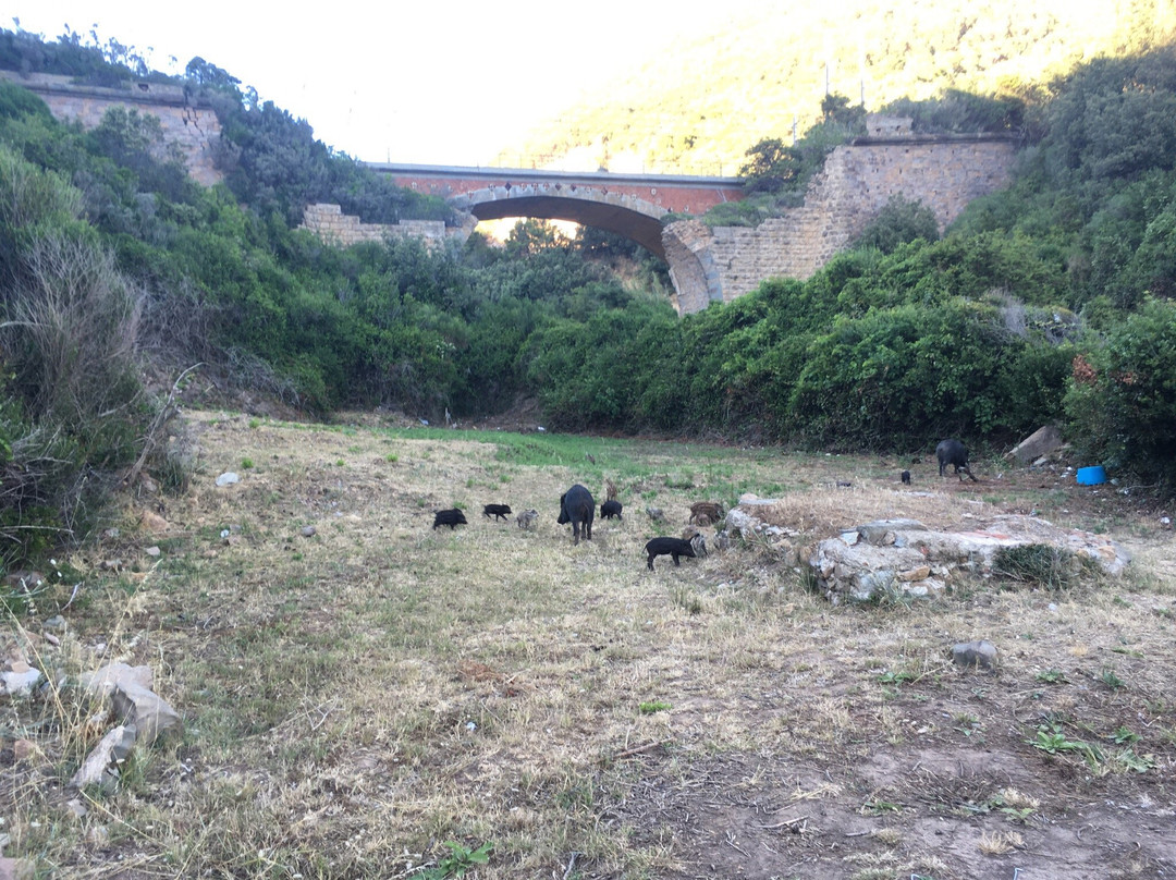 Spiaggia di Calignaia景点图片