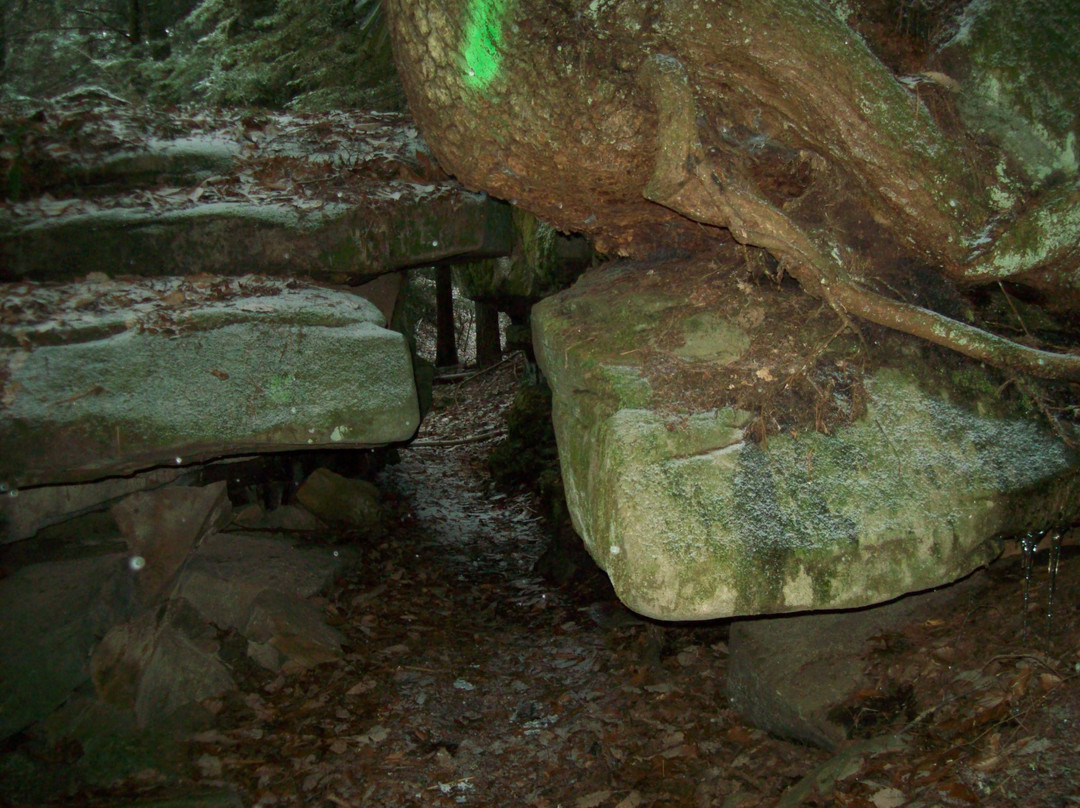 Cumberland Mountain State Park-Crossville必去景点