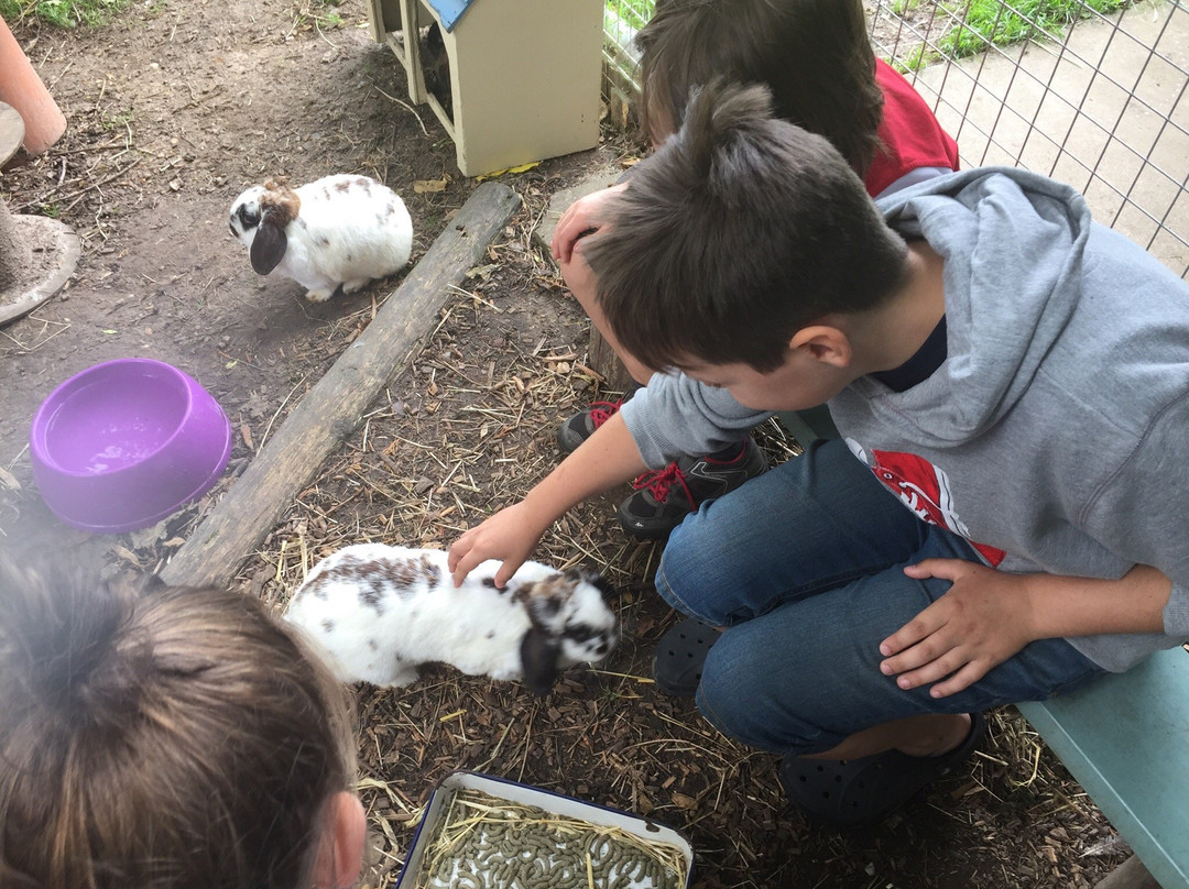 Southampton City Farm景点图片