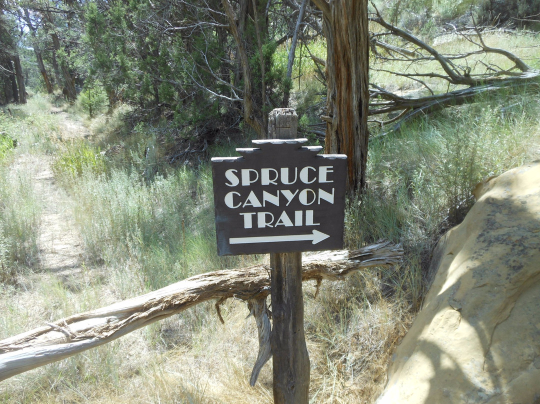 Spruce Canyon Trail-梅萨维德国家公园必去景点