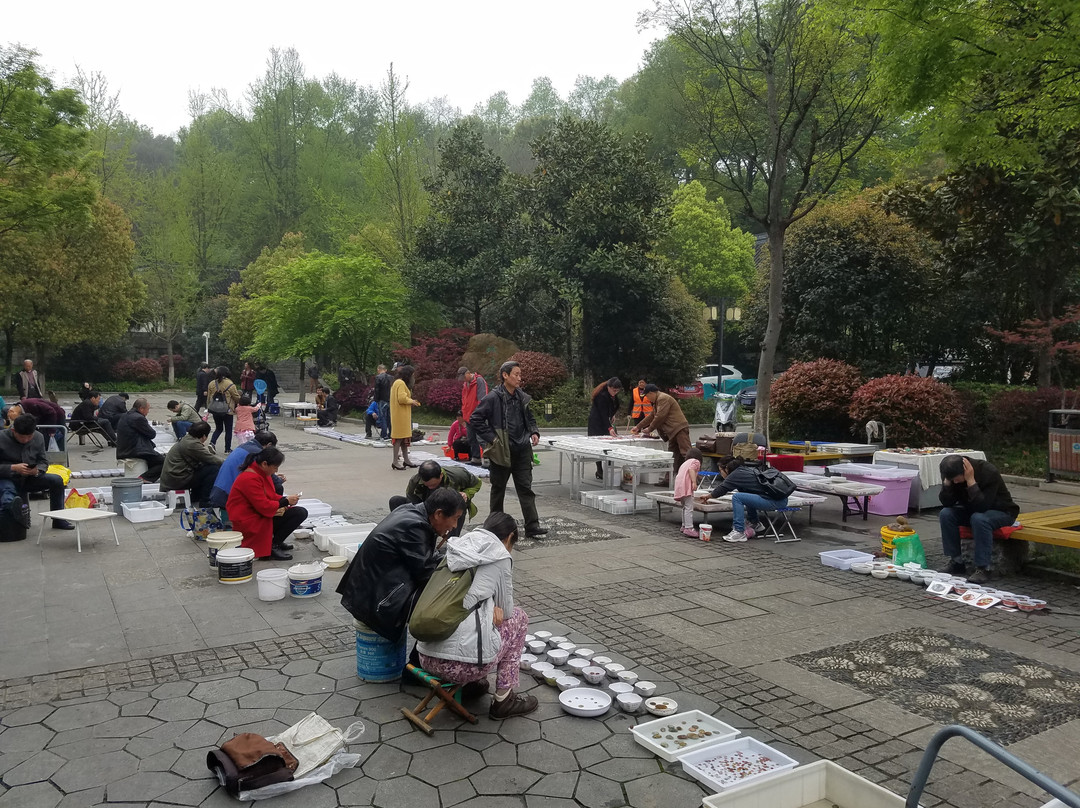 清凉山公园-南京市必去景点