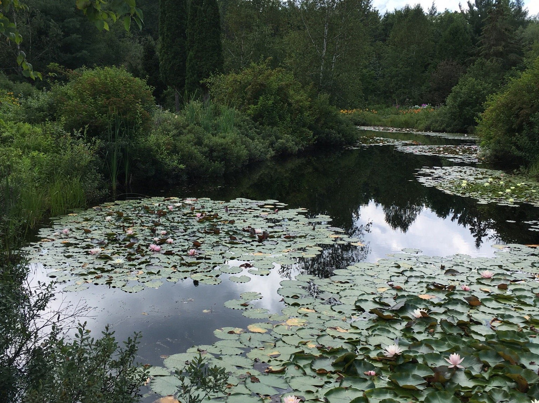 Adcocks' Woodland Gardens景点图片