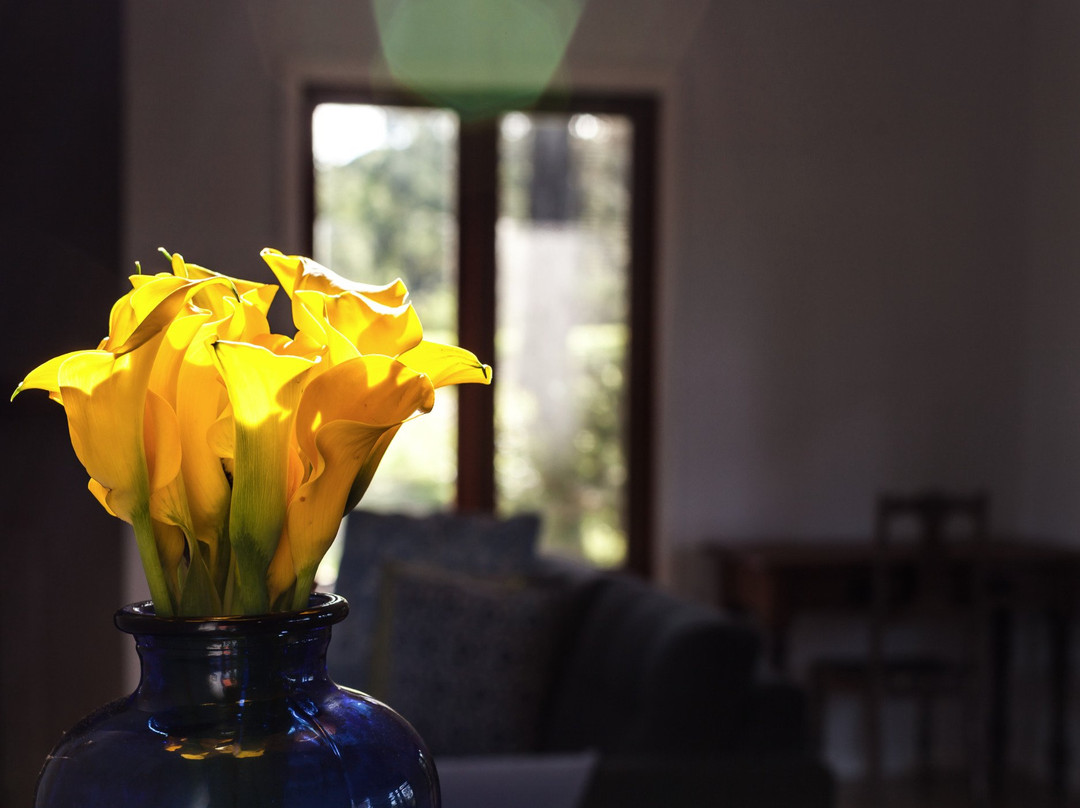 文森提阿酒店住宿-沃洛威杰维斯湾生态度假村