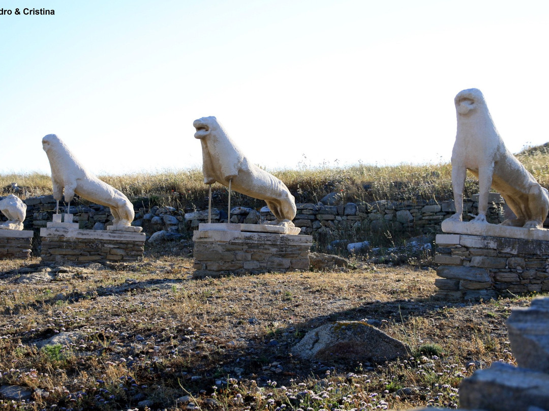 Ftelia Archeological Site景点图片