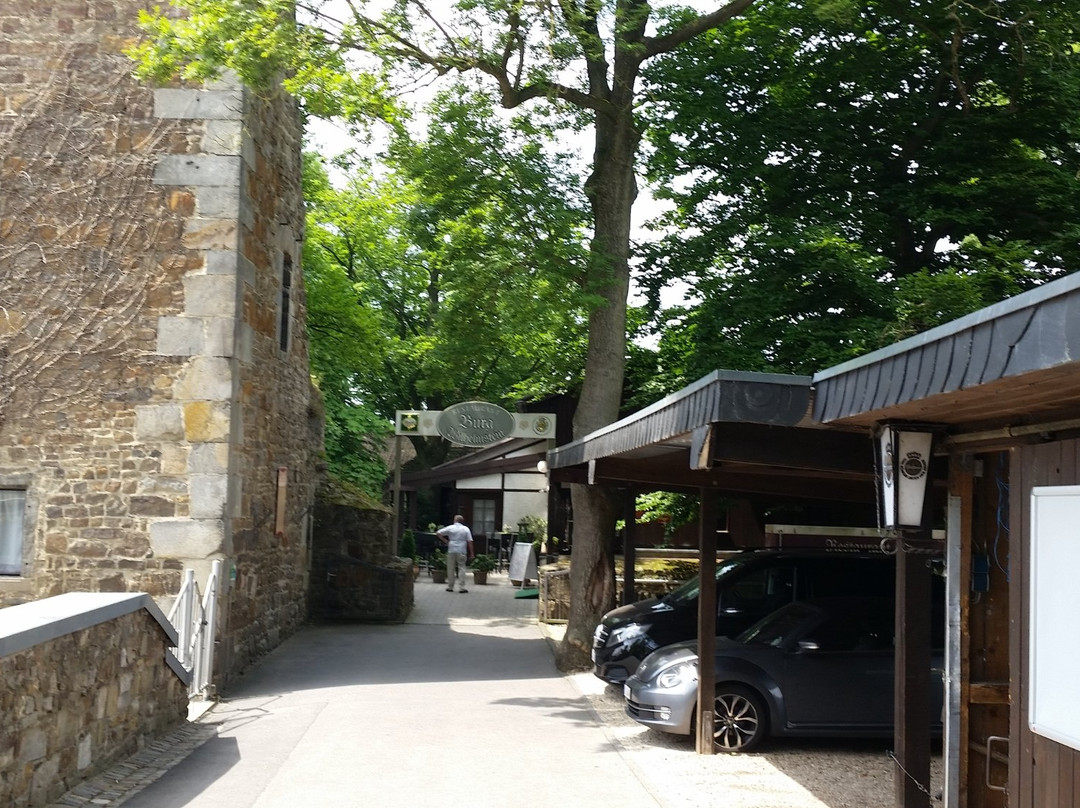 Burg Wilhelmstein景点图片