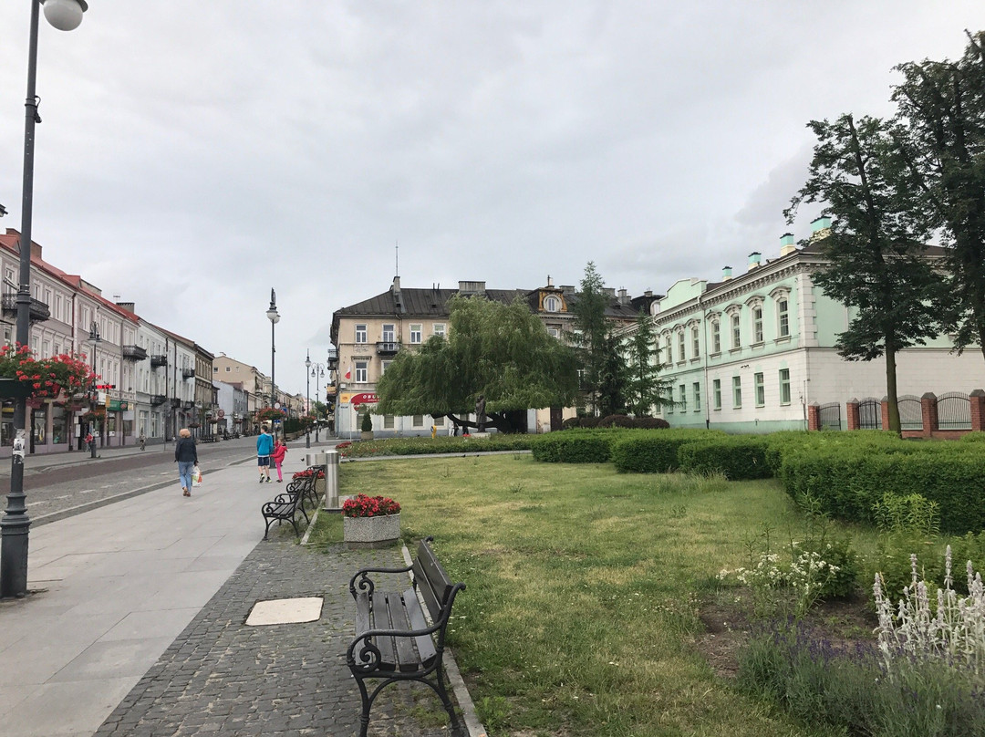 Zeromskiego Street景点图片