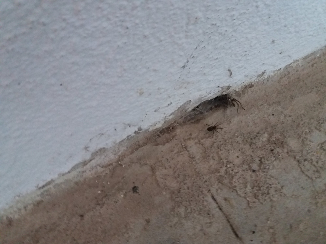 Steinmeister Gästehaus主图