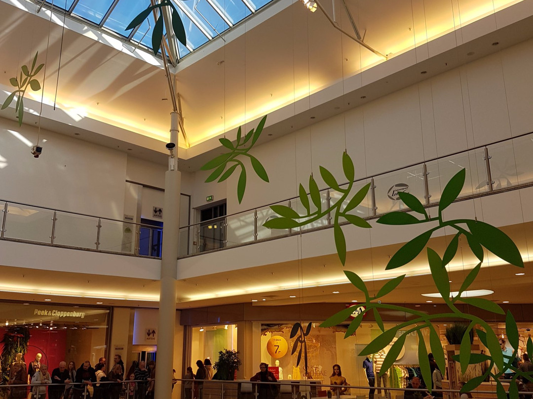 Weserpark-不莱梅必去景点