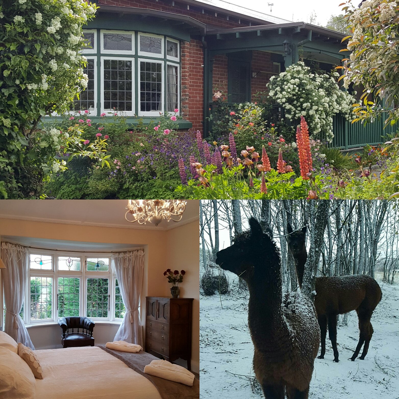 Lauderburn House Bed & Breakfast-官方