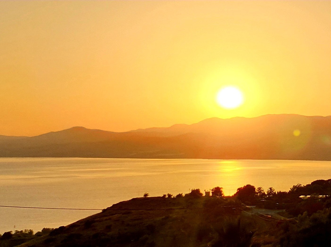 ZELKIND BEST ISRAEL BIBLE LAND PRIVATE TOURS-特拉维夫必去景点