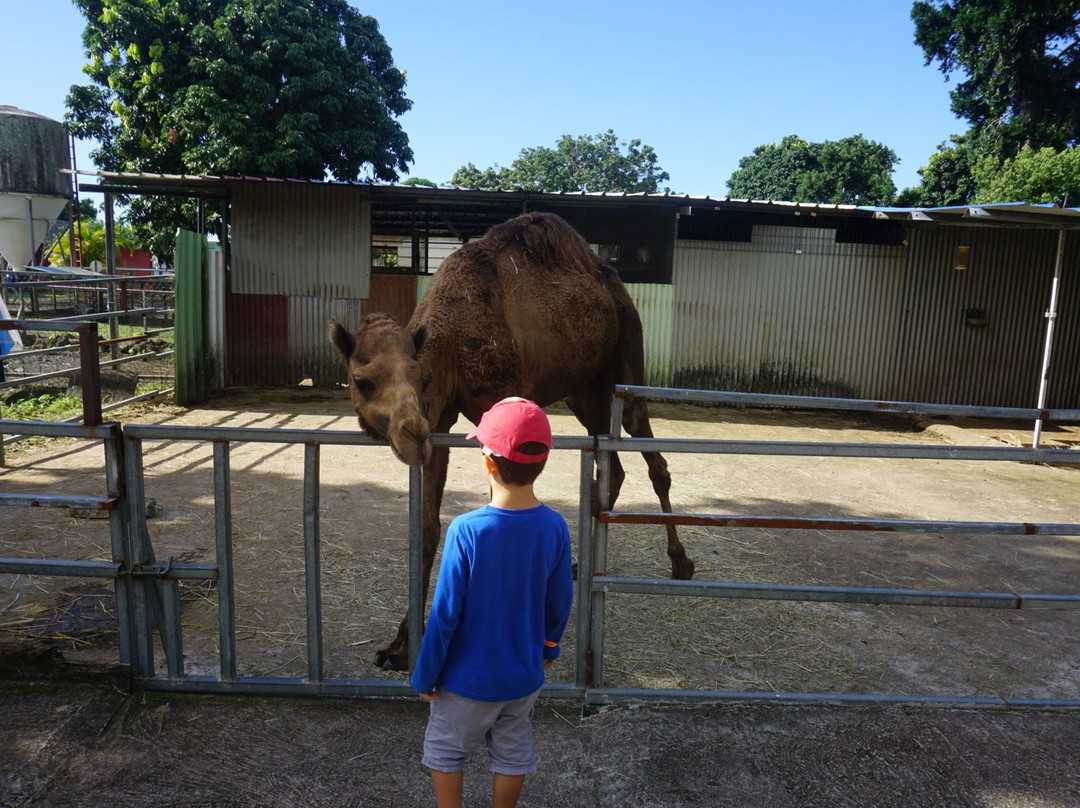 Ferme Pédagogique de Sainte Anne景点图片