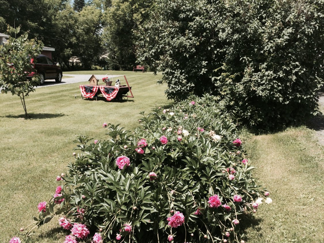 The Milkhouse Bed and Breakfast主图