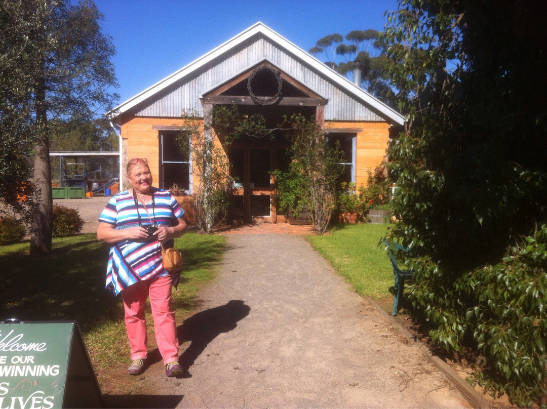 Wicked Virgin Olive Grove-卢森格林必去景点