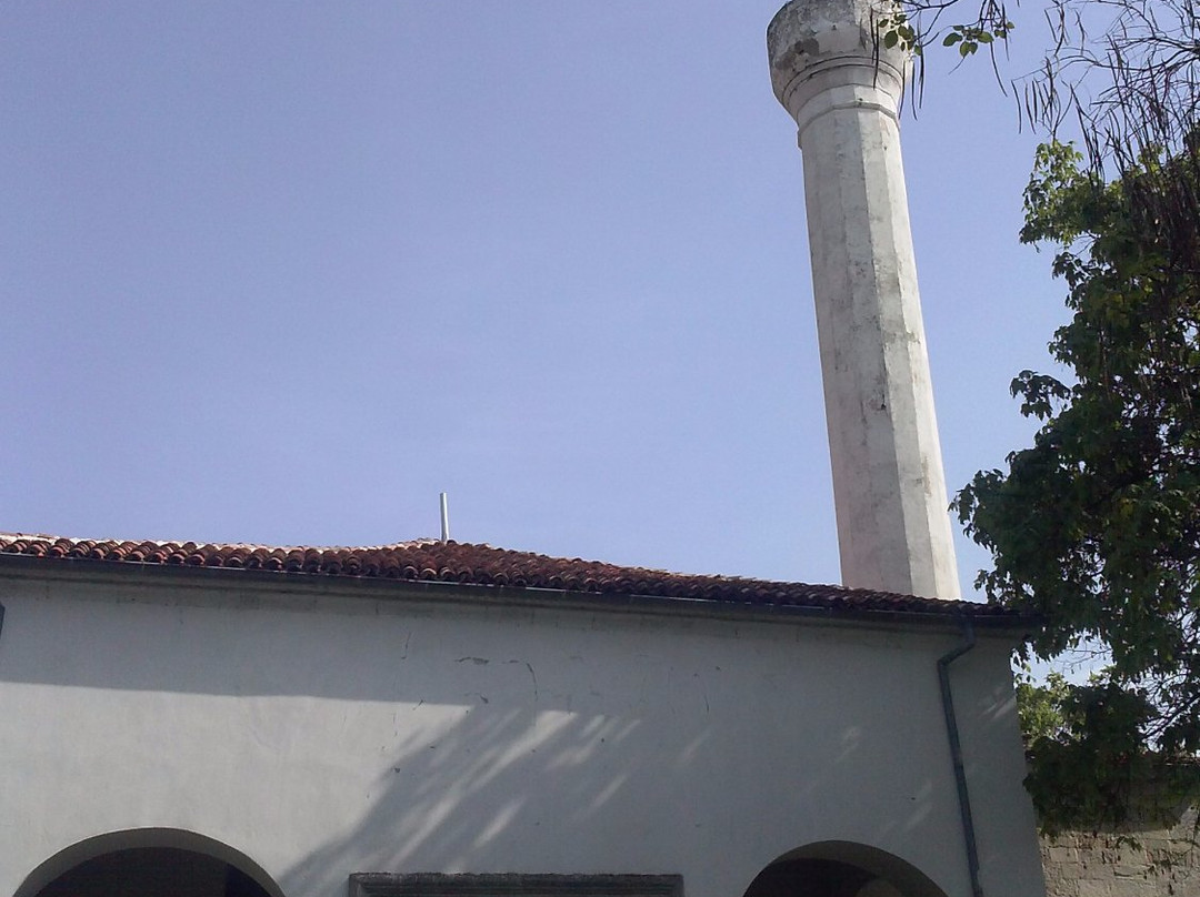 Dzhamiya and Library-Vidin必去景点