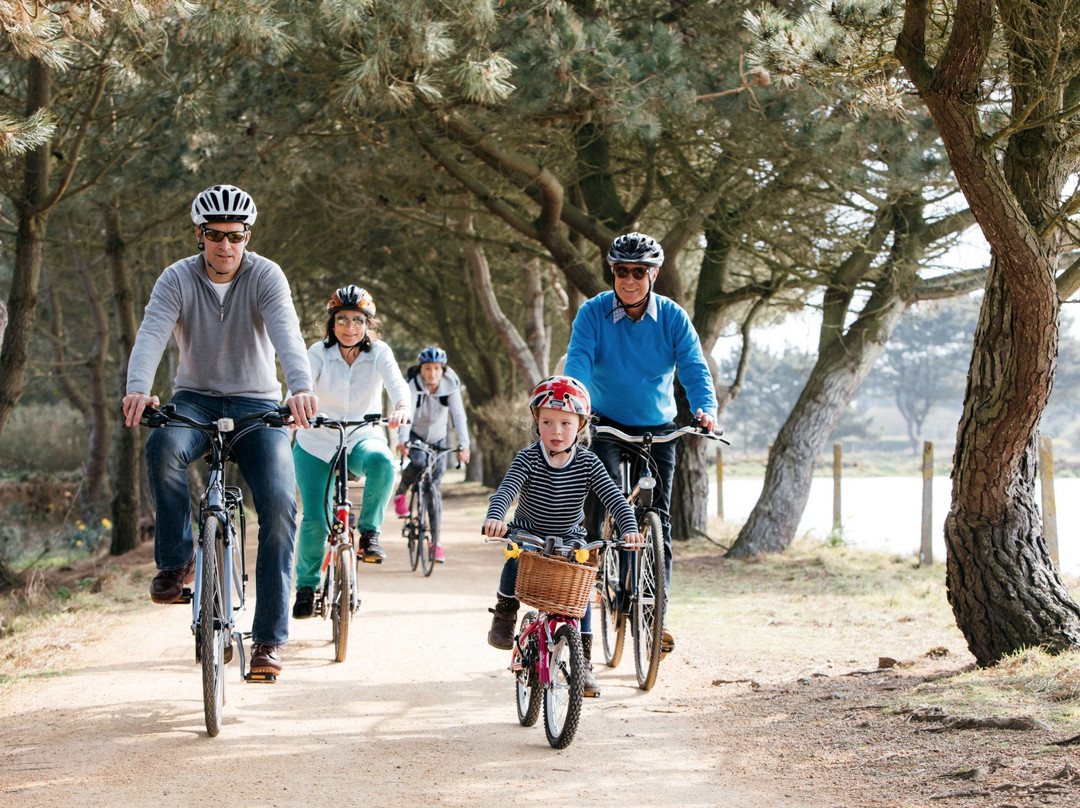 Jersey Bike Hire-St. Aubin必去景点