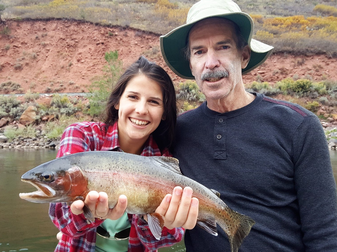 Harcourt Fly Fishing 3G-New Castle必去景点