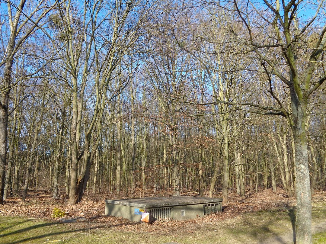 Parc Georges-Valbon-La Courneuve必去景点