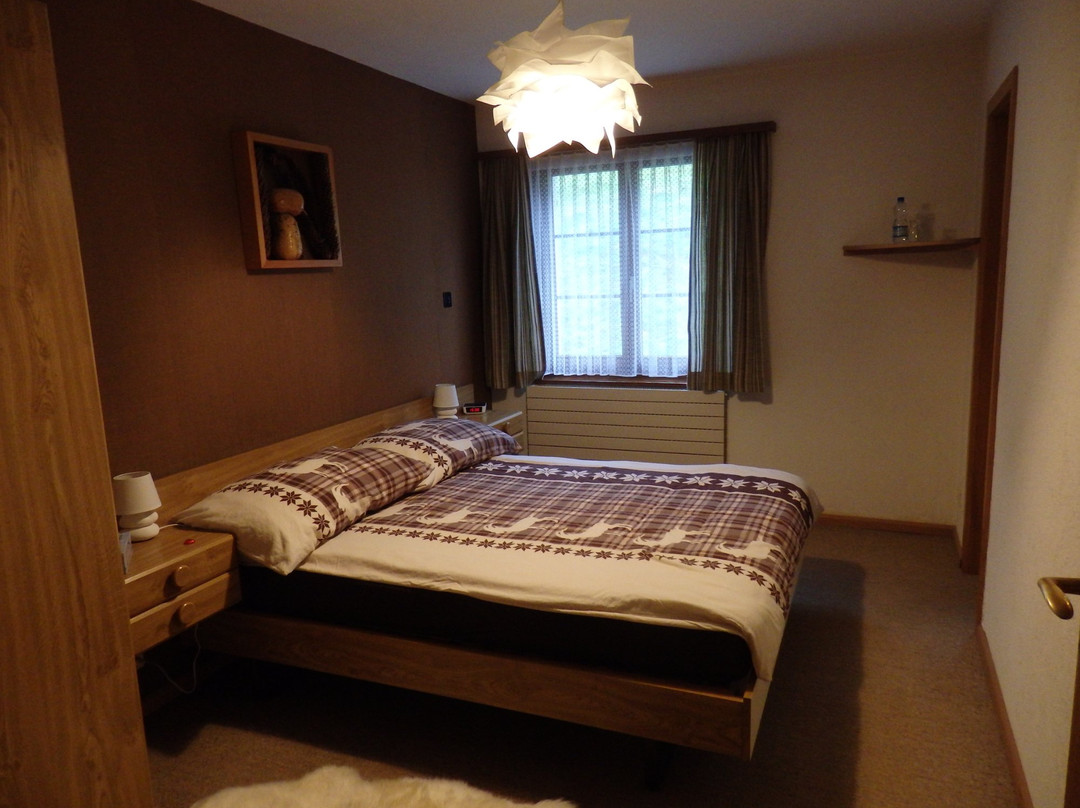 Bonne Auberge Les Bugnenets主图