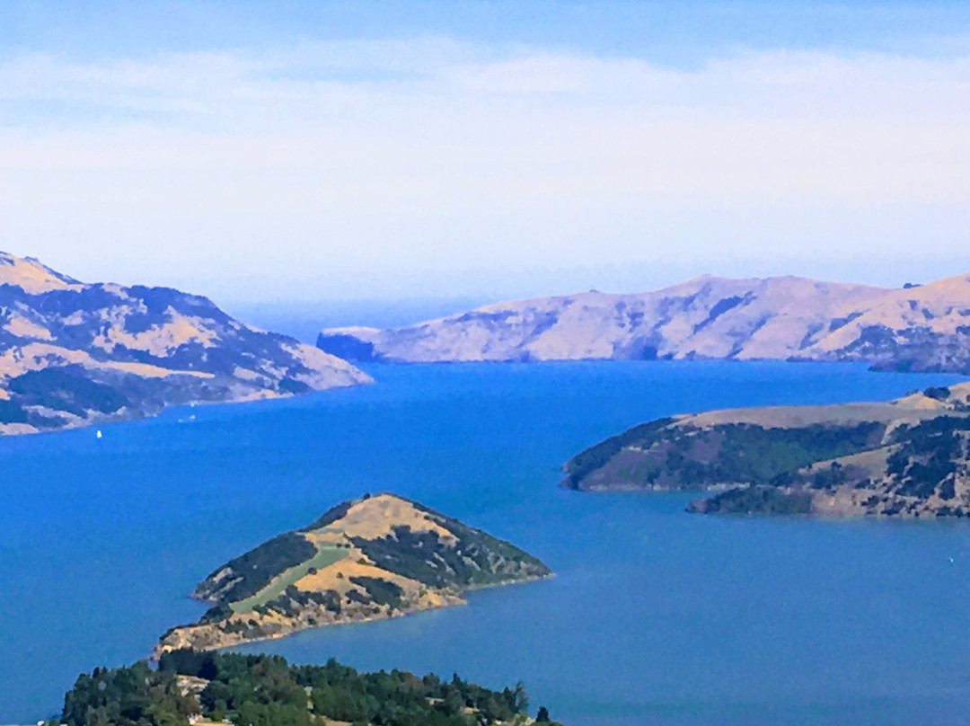 Akaroa Surf Safaris景点图片