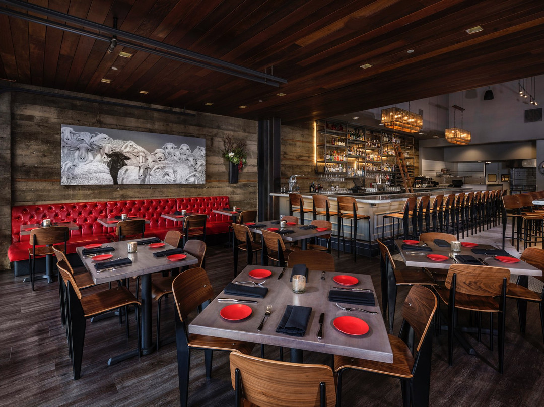 Black Sheep Brasserie