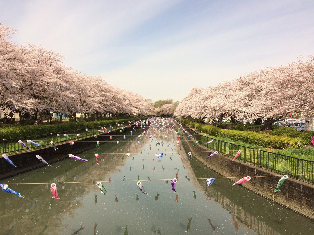 Tsuruuda River景点图片