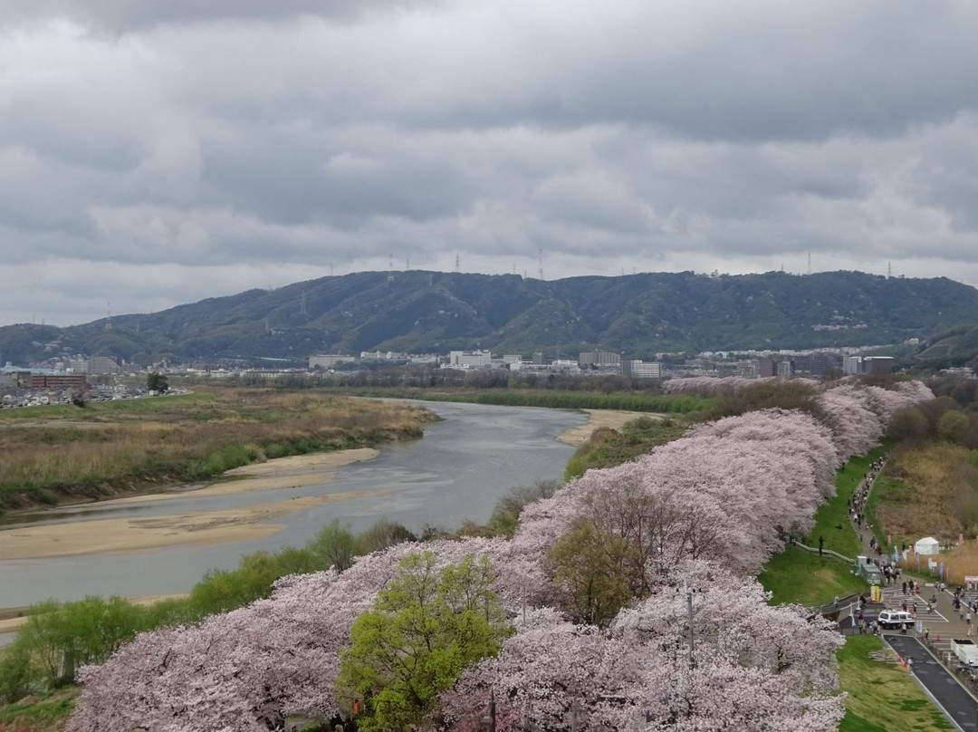 Sakuradeaikan-八幡市必去景点