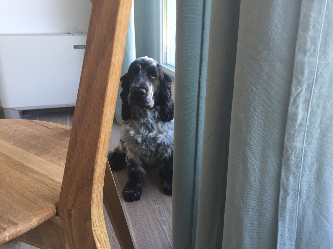 Villa Porto sul Magra主图