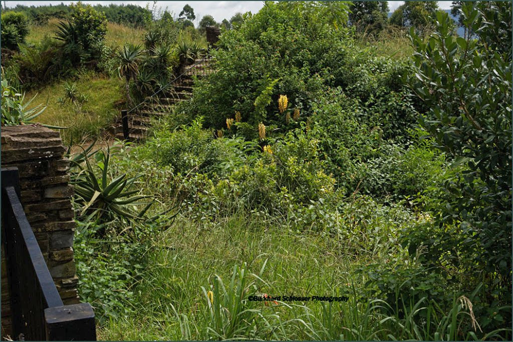 Pietermaritzburg Worlds View-彼得马里茨堡必去景点