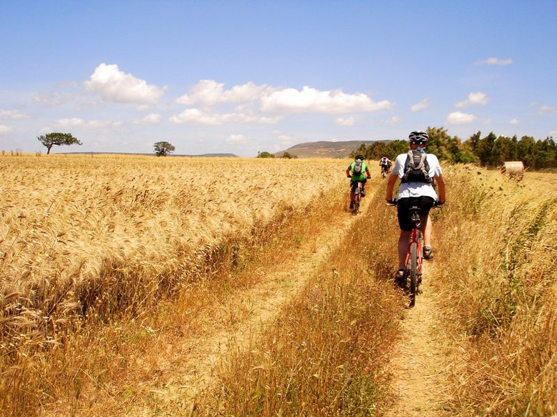 Wild Trails Italy-San Sperate必去景点