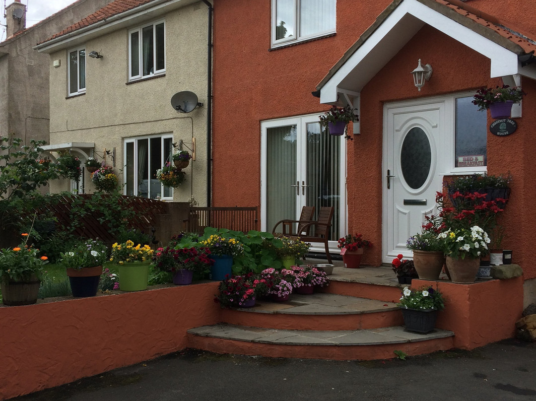 Chestnut Tree House主图