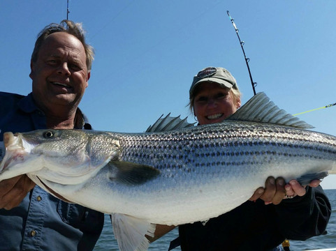 Chesapeake Bay Charter Services-Stevensville必去景点