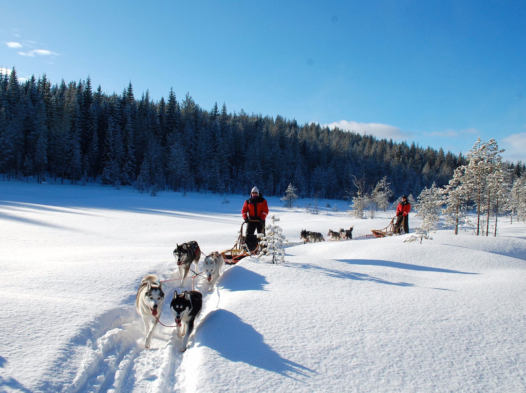 Routa Travel-Kuhmo必去景点