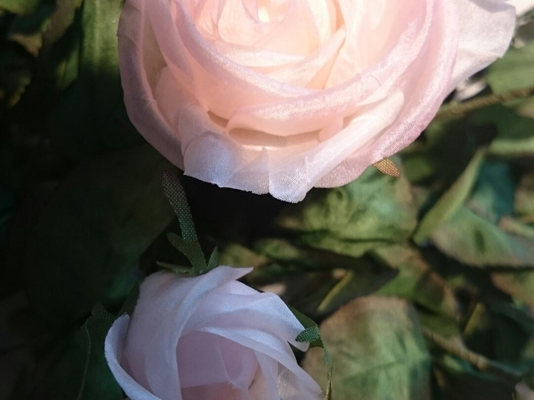 Deutsche Kunstblume Sebnitz-Sebnitz必去景点