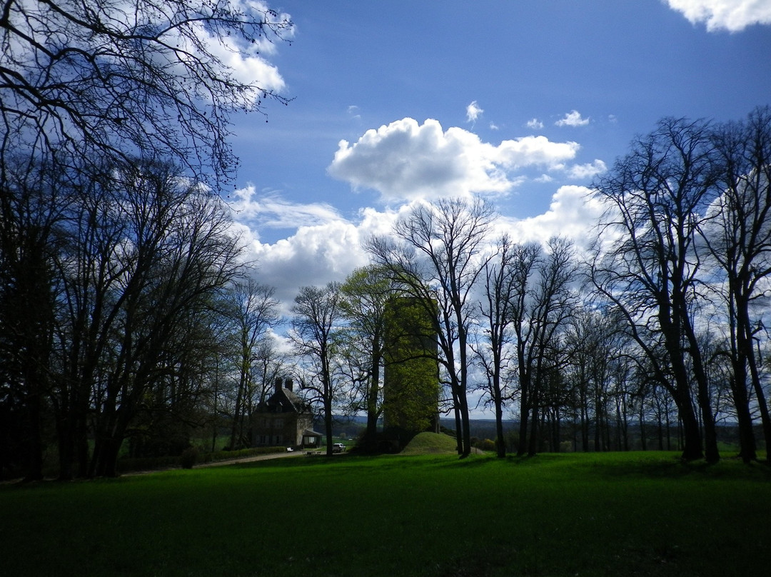 Chateau de Rupt-sur-Saone景点图片