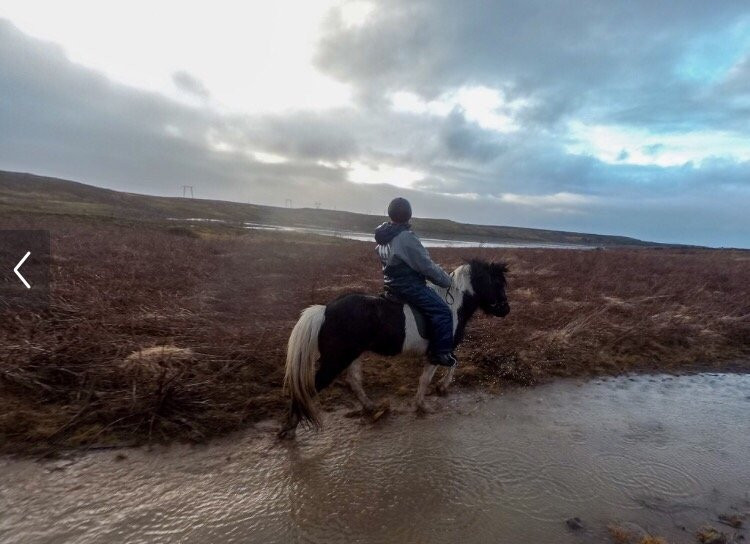 Icelandic Riding-雷克雅未克必去景点