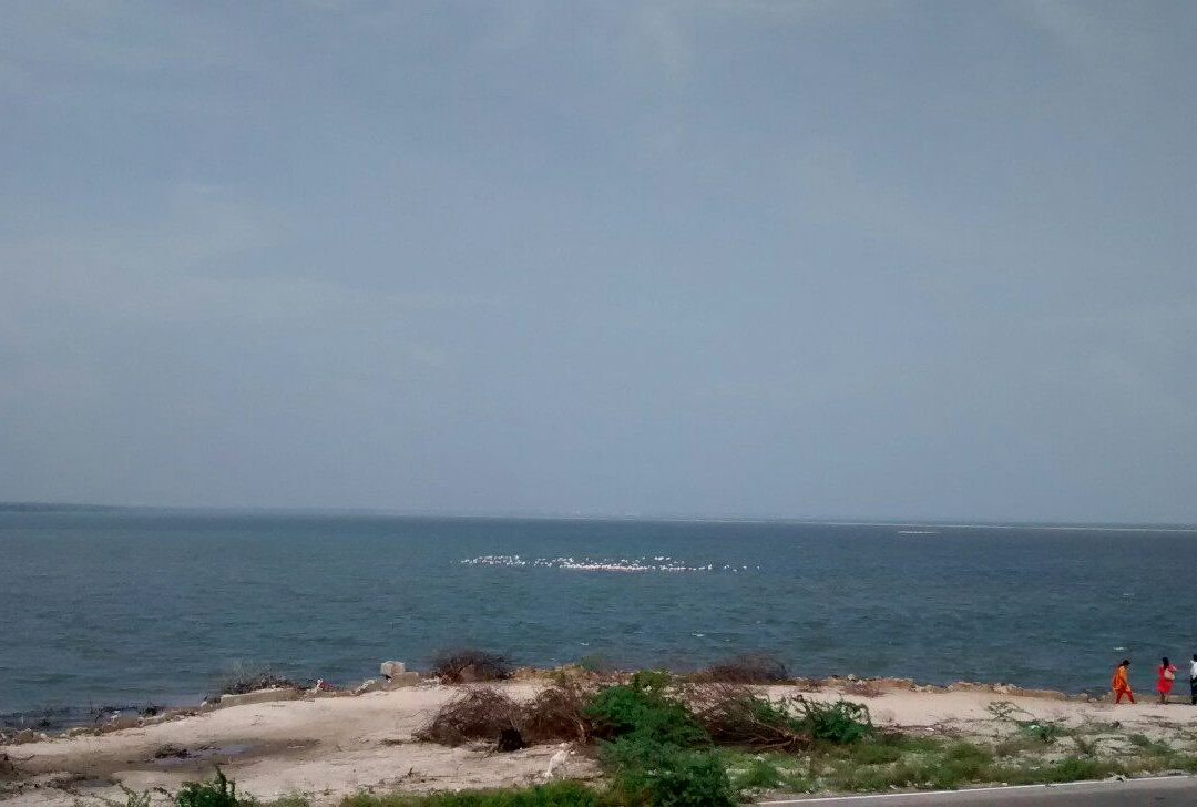 Vaduvur Sri Kothandaramaswamy Temple景点图片