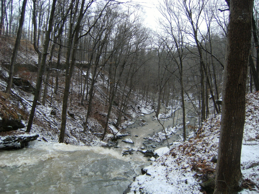 Louth Conservation Area景点图片