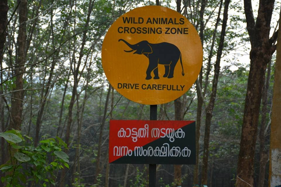 Chimmony Wildlife Sanctuary景点图片