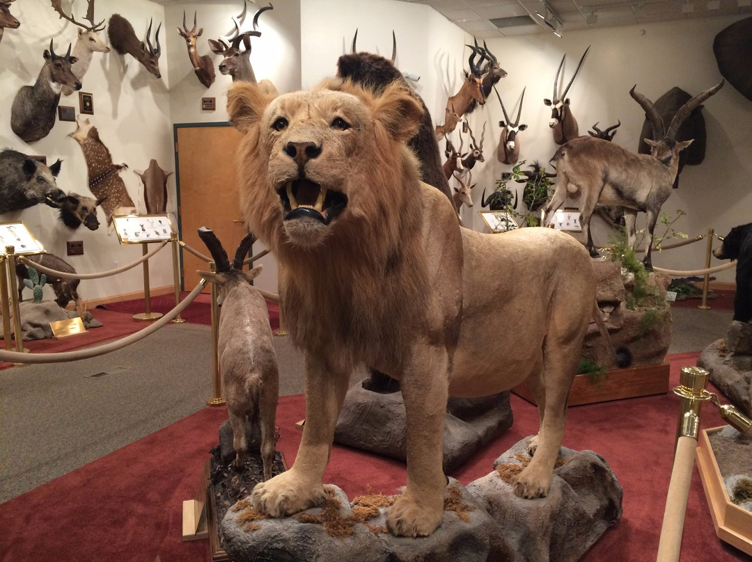 Natural History Museum - Western Wyoming Community College-Rock Springs必去景点