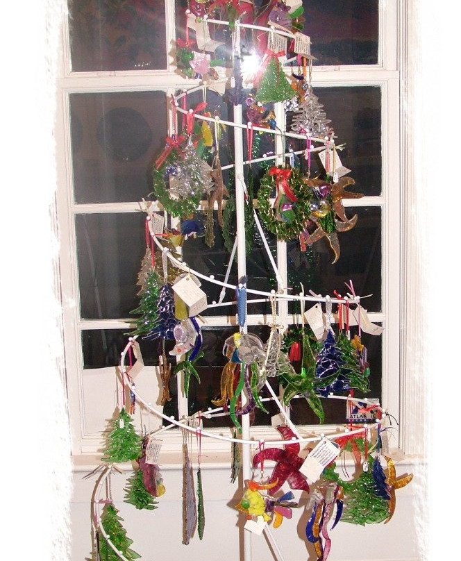 Amelia SanJon Gallery-费尔南迪纳岛必去景点