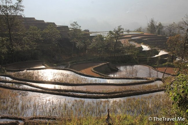 麻栗寨景点图片