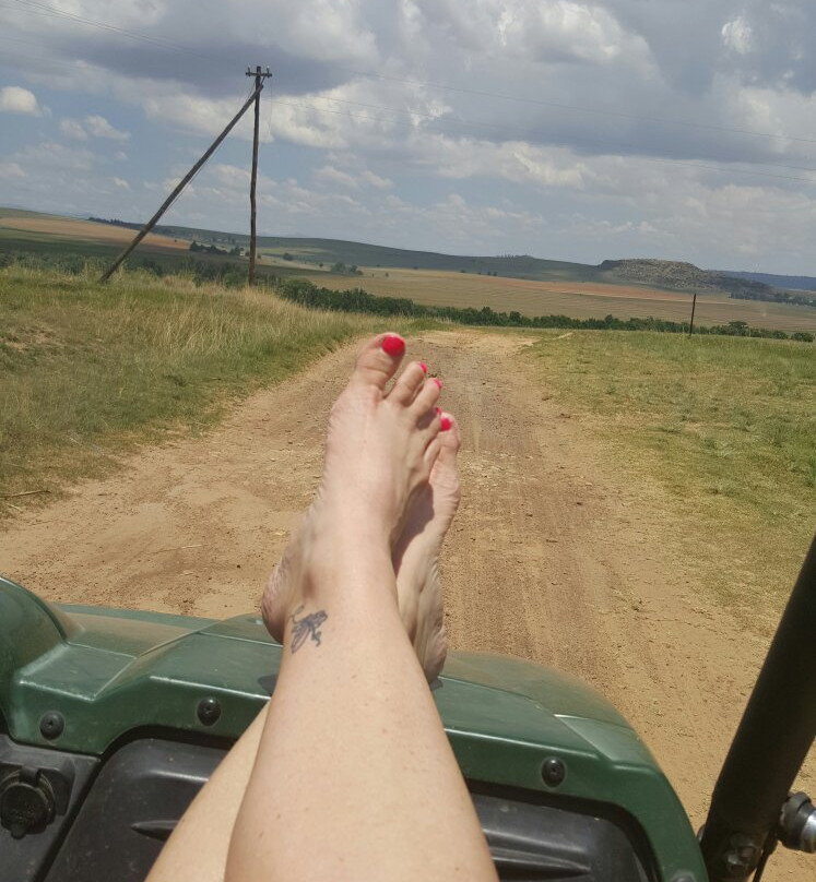 Daskop Guest & Game Farm主图