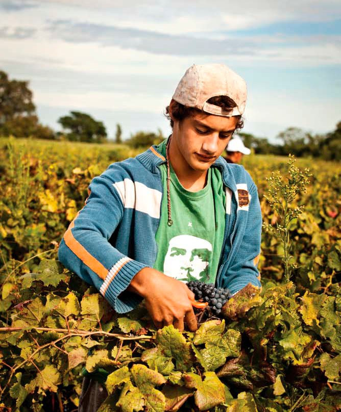 Ruta Del Vino Carmelo-Carmelo必去景点