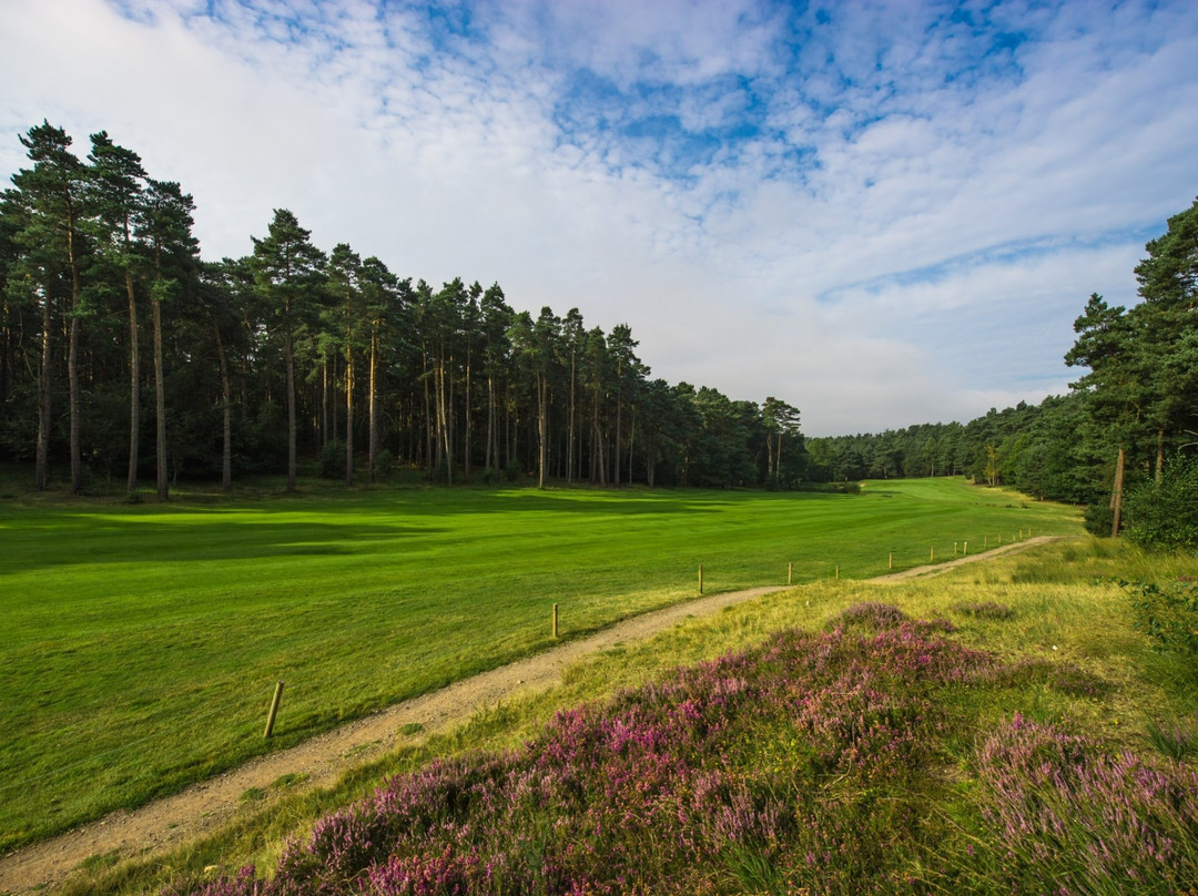 Pine Ridge Golf Club景点图片