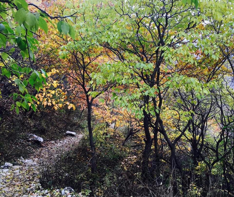 黄草梁自然风景区-北京市必去景点